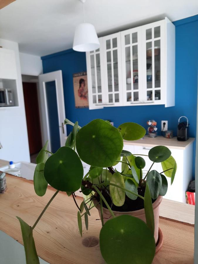 Appart Proche Plage Avec Grand Balcon Cannes Exteriör bild